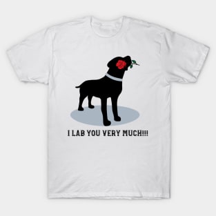 'Dog holding Red Rose ' Valentine's Day Black Labrador T-Shirt